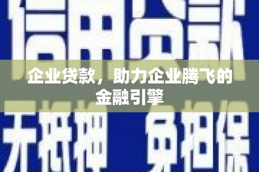苍南企业贷款，助力企业腾飞的金融引擎