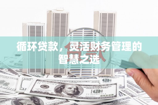 苍南循环贷款，灵活财务管理的智慧之选