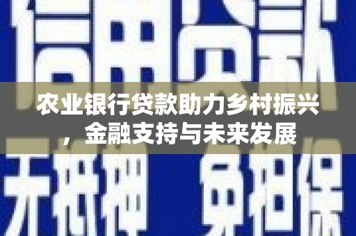 苍南农业银行贷款助力乡村振兴，金融支持与未来发展