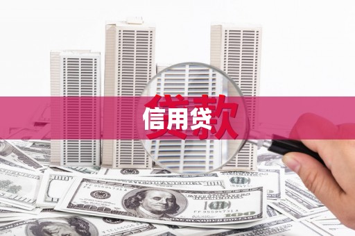 苍南信用贷