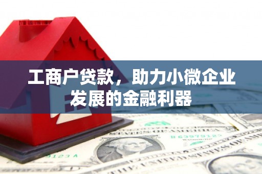 苍南工商户贷款，助力小微企业发展的金融利器