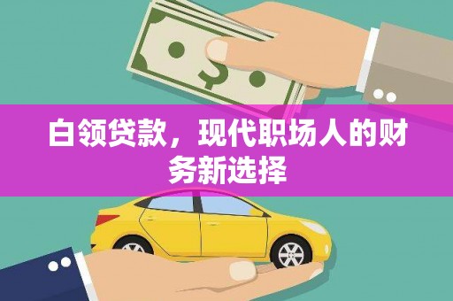 苍南白领贷款，现代职场人的财务新选择