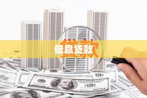 苍南低息贷款