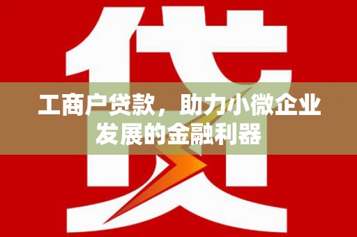 苍南工商户贷款，助力小微企业发展的金融利器
