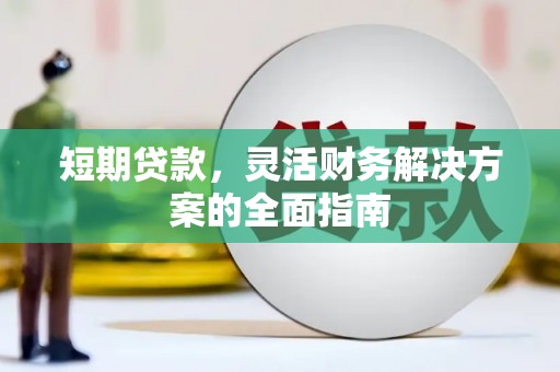 苍南短期贷款，灵活财务解决方案的全面指南