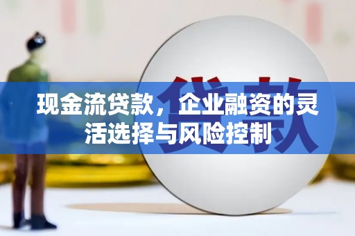 苍南现金流贷款，企业融资的灵活选择与风险控制