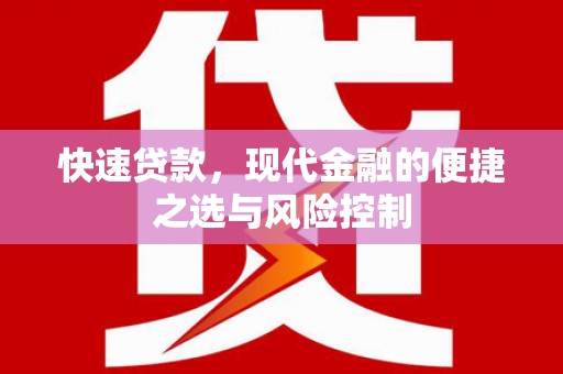 苍南快速贷款，现代金融的便捷之选与风险控制