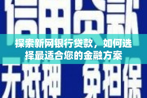 苍南探索新网银行贷款，如何选择最适合您的金融方案