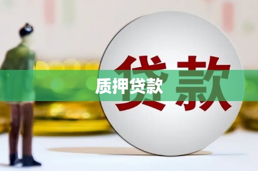 苍南质押贷款