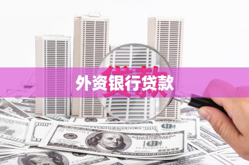苍南外资银行贷款