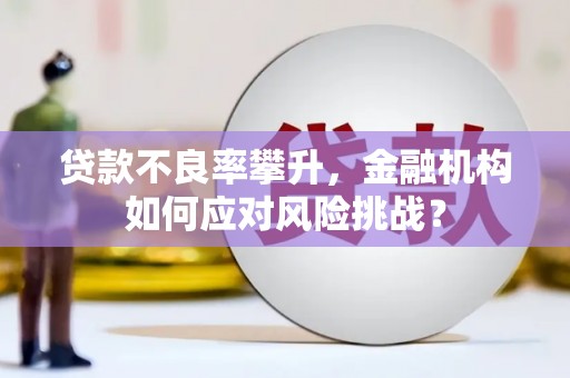 苍南贷款不良率攀升，金融机构如何应对风险挑战？
