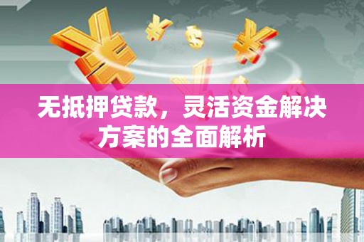 苍南无抵押贷款，灵活资金解决方案的全面解析