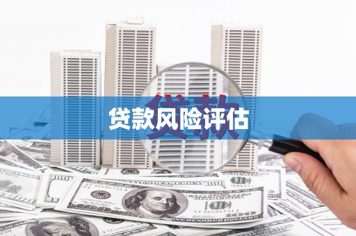 苍南贷款风险评估