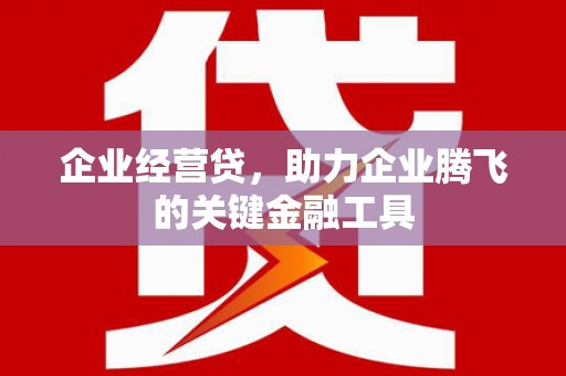 苍南企业经营贷，助力企业腾飞的关键金融工具