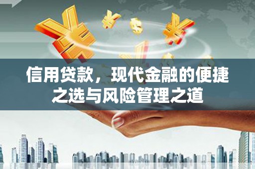 苍南信用贷款，现代金融的便捷之选与风险管理之道