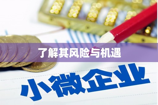 苍南了解其风险与机遇