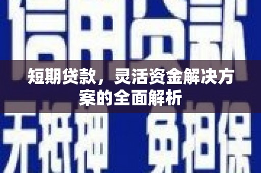 苍南短期贷款，灵活资金解决方案的全面解析