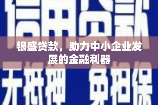 苍南银盛贷款，助力中小企业发展的金融利器