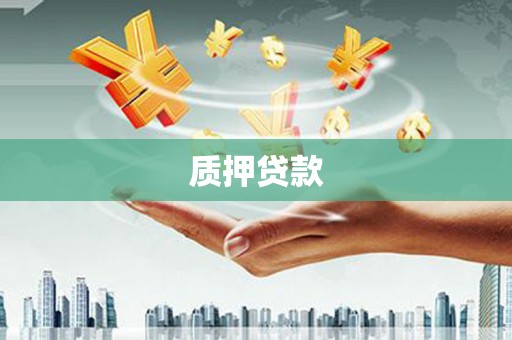 苍南质押贷款