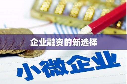 苍南企业融资的新选择