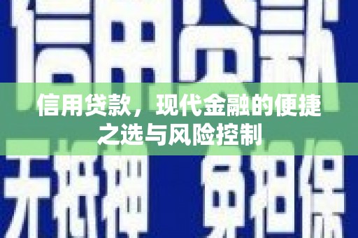 苍南信用贷款，现代金融的便捷之选与风险控制