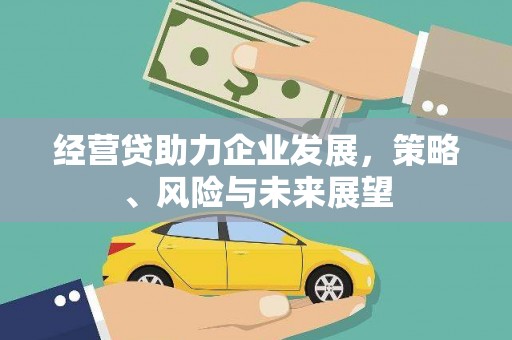 苍南经营贷助力企业发展，策略、风险与未来展望
