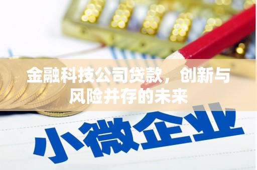 苍南金融科技公司贷款，创新与风险并存的未来