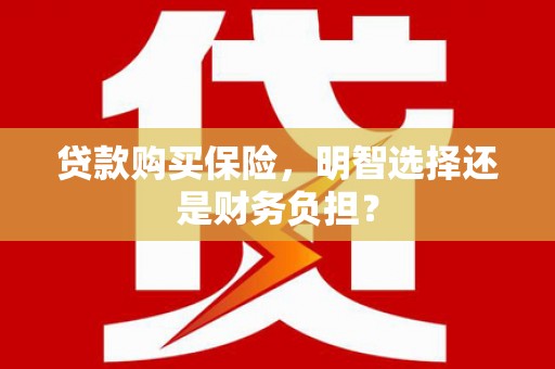 苍南贷款购买保险，明智选择还是财务负担？