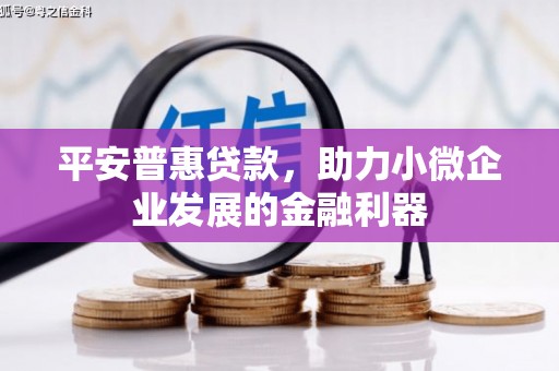 苍南平安普惠贷款，助力小微企业发展的金融利器