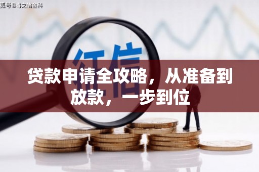 苍南贷款申请全攻略，从准备到放款，一步到位