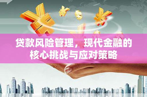 苍南贷款风险管理，现代金融的核心挑战与应对策略