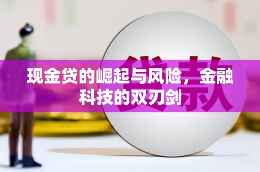 苍南现金贷的崛起与风险，金融科技的双刃剑