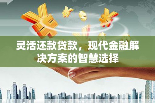 苍南灵活还款贷款，现代金融解决方案的智慧选择