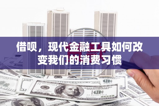 苍南借呗，现代金融工具如何改变我们的消费习惯