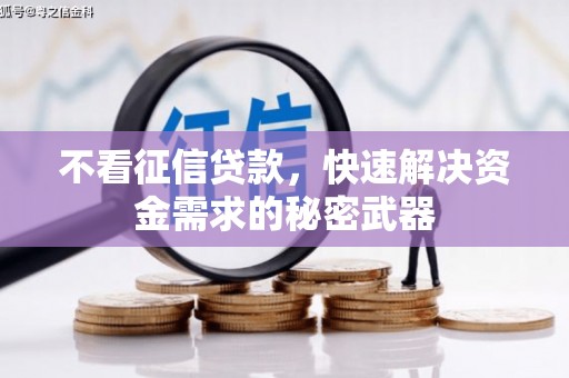 苍南不看征信贷款，快速解决资金需求的秘密武器