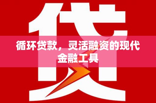 苍南循环贷款，灵活融资的现代金融工具