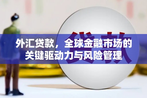 苍南外汇贷款，全球金融市场的关键驱动力与风险管理