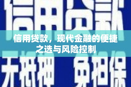 苍南信用贷款，现代金融的便捷之选与风险控制