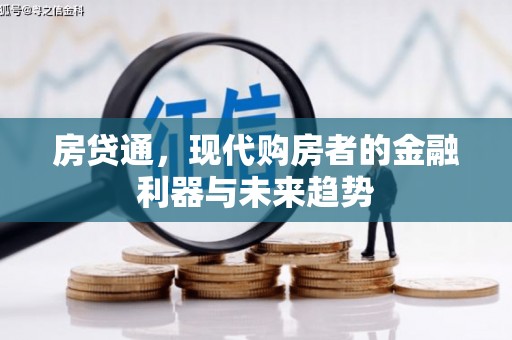 苍南房贷通，现代购房者的金融利器与未来趋势