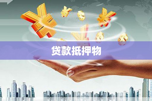 苍南贷款抵押物