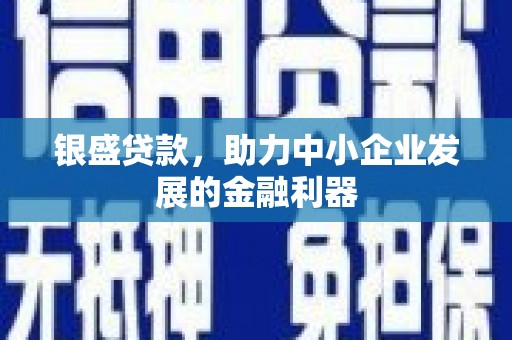 苍南银盛贷款，助力中小企业发展的金融利器