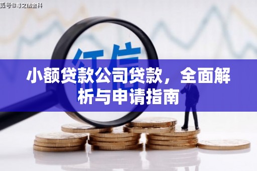 苍南小额贷款公司贷款，全面解析与申请指南