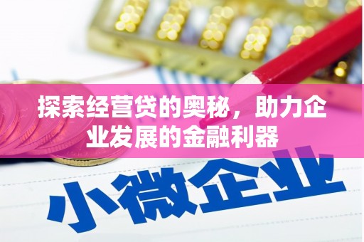 苍南探索经营贷的奥秘，助力企业发展的金融利器