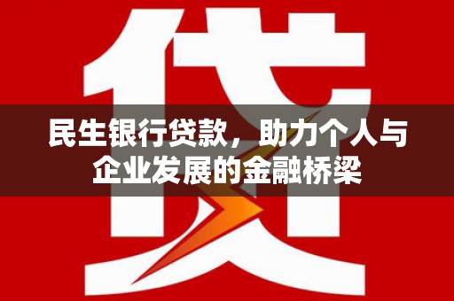 苍南民生银行贷款，助力个人与企业发展的金融桥梁