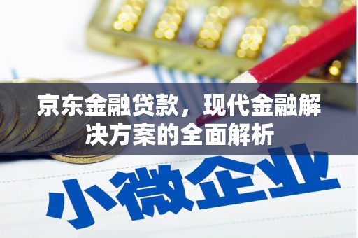 苍南京东金融贷款，现代金融解决方案的全面解析