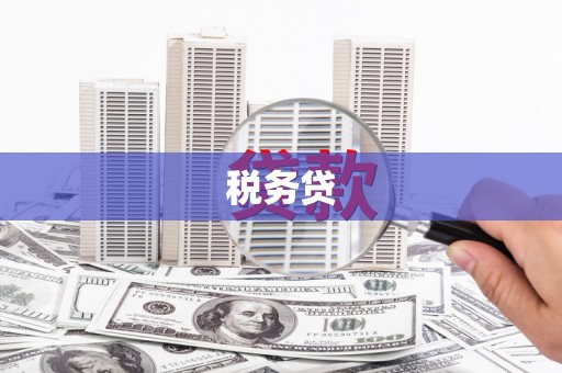 苍南税务贷