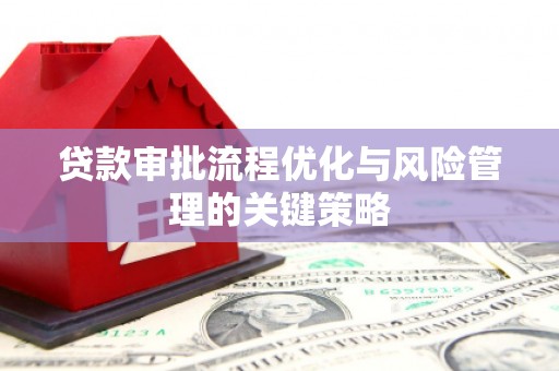 苍南贷款审批流程优化与风险管理的关键策略