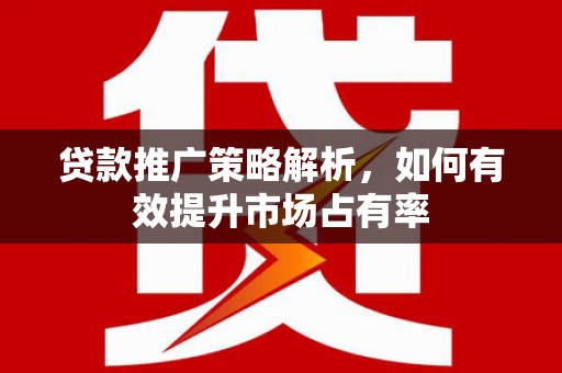 苍南贷款推广策略解析，如何有效提升市场占有率