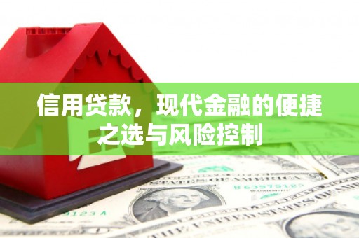 苍南信用贷款，现代金融的便捷之选与风险控制
