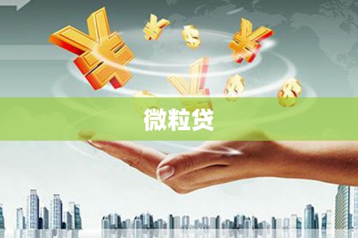 苍南微粒贷